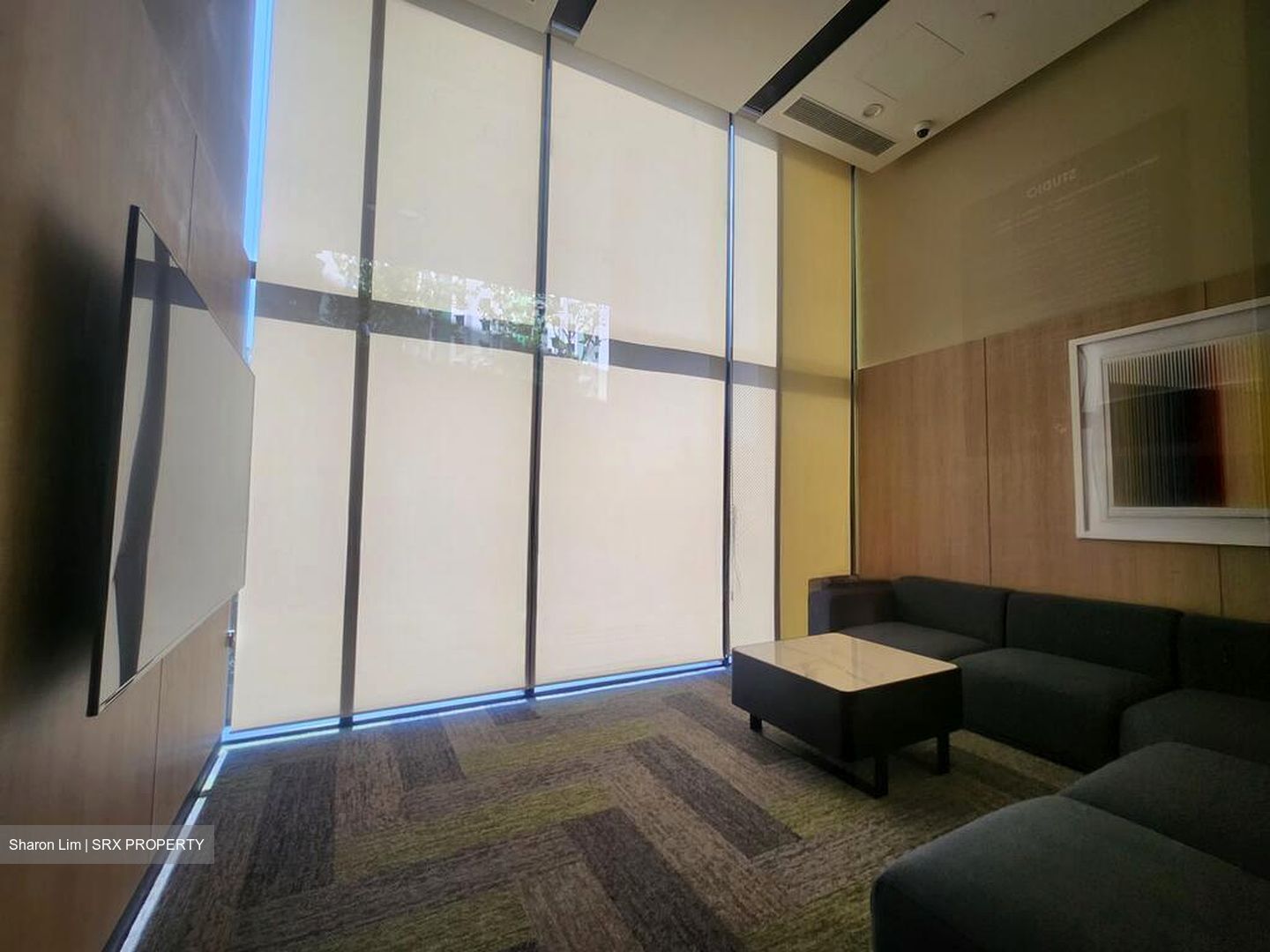 Piccadilly Grand (D8), Apartment #502823901